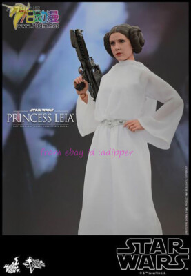 Hot Toys MMS298 1/6 Star Wars Episode IV New Hope Princess Leia
