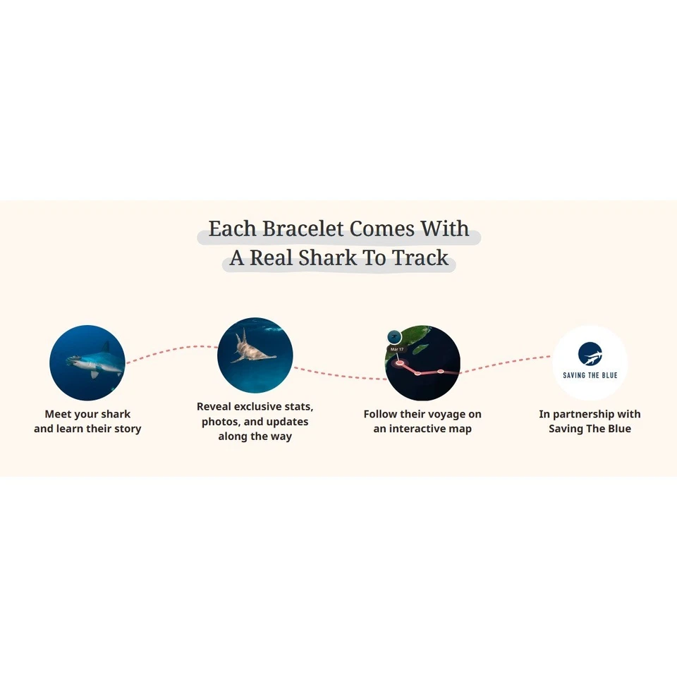 Fahlo Lava Stone Stone Beaded The Voyage Shark Tracking Stretch Bracelet - Image 2 of 2