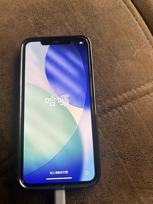 iPhone 11 Pro Max Blau
