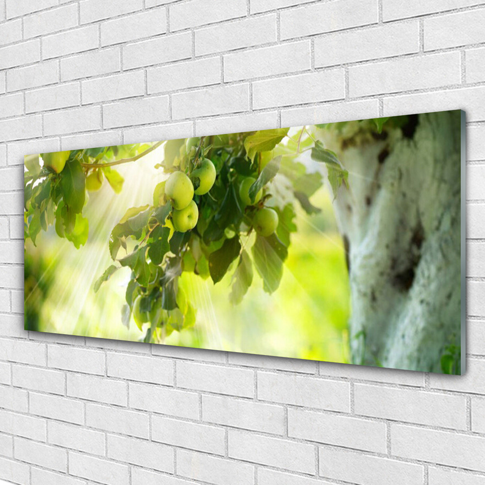 Image sur Plexiglas 125x50 cm de qualité supérieure tableau mural branche de pommes pour cuisine