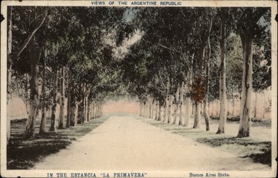 Estancia La Primavera Buenos Aires Argentina vintage postcard s107