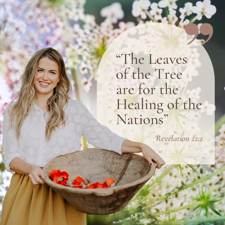 ОРГАНИЧЕСКАЯ ЧЕРНАЯ МАЗЬ ДЛЯ РИСОВАНИЯ | укусы жуков | укусы | щепки | кипячение | кисты | прыщи - Изображение 3 из 4