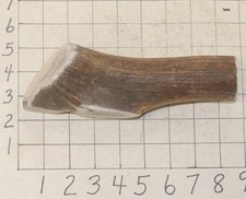1 XXL 1 Elk Antler Dog Chew Treats Crafts