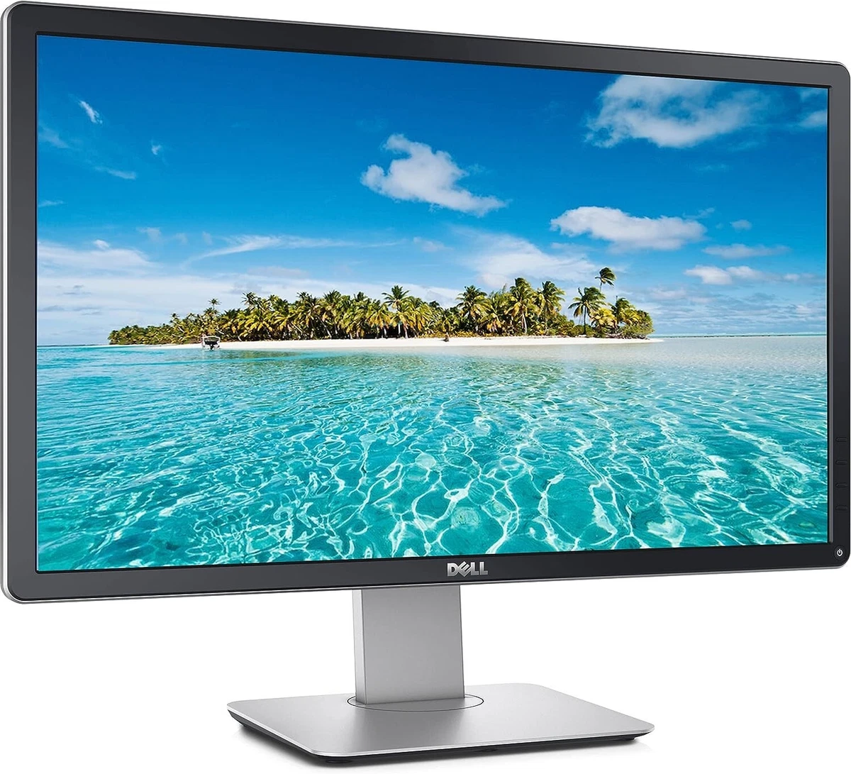 DELL P2414HB 24
