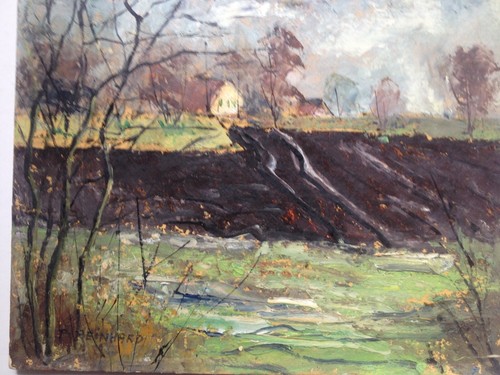::PAUL REINHARD SIGNIERT ÖLGEMÄLDE SONNIGE LICHTUNG °LANGWIED 1974 - 第 2/5 張圖片