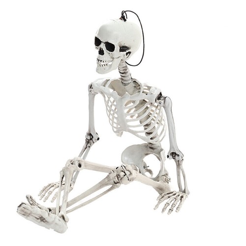 Full Life Size Human Hanging/Sitting Skeleton Prop Halloween Party Decoration - Picture 7 of 11