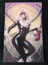 AMAZING SPIDER-MAN #25 VIRGIN ARTGERM EXCLUSIVE SPIDERMAN BLACK CAT 1