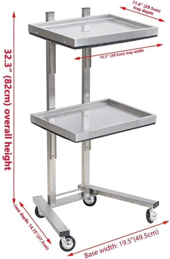 Carro rodante SPA de salón de belleza de 2 niveles con bandeja de almacenamiento doble de acero inoxidable Foto 2 de 4