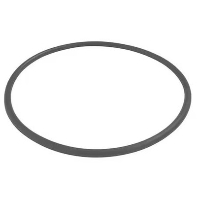 Dayton Pp21102000001g Trap O-Ring