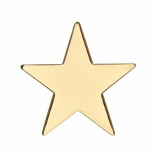 Gold Star Badge Pin (25mm x 25mm) Pentagram Army Military Award Prize Winner   