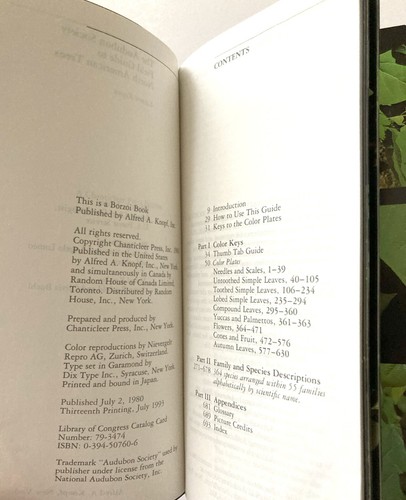 Audubon Society Lot 3 NA Field Guides Eastern Trees Wildflowers Rocks & Minerals - Picture 8 of 13