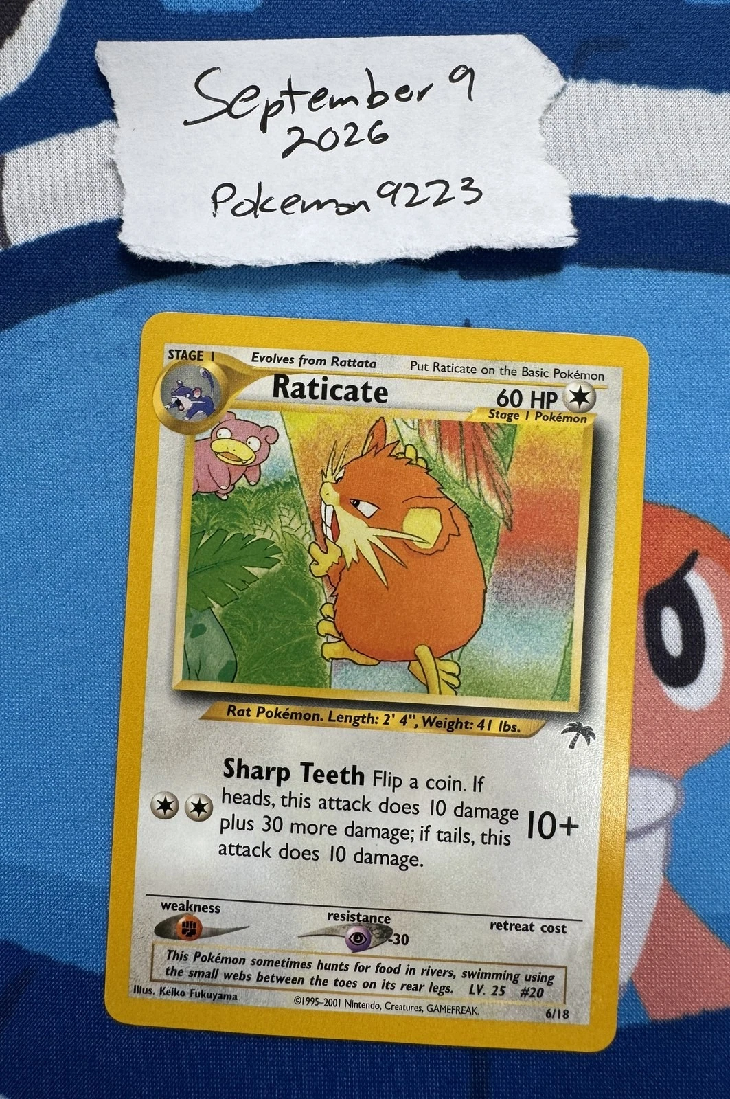 Raticate - Southern Islands #6 Price & Value ($37.35) | PokeScope