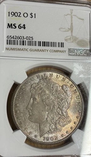 1902-O $1 Morgan Silver Dollar Pastel Toning TONED NGC MS64