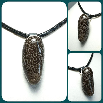 Michigan Charlevoix Stone Pendant Necklace 18'' Devonian Favosites Coral Fossil