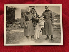 Soldado de WEHRMACHT MONTA BONITO BURRO PONY SEGUNDA GUERRA MUNDIAL ALEMÁN FOTO MILITAR
