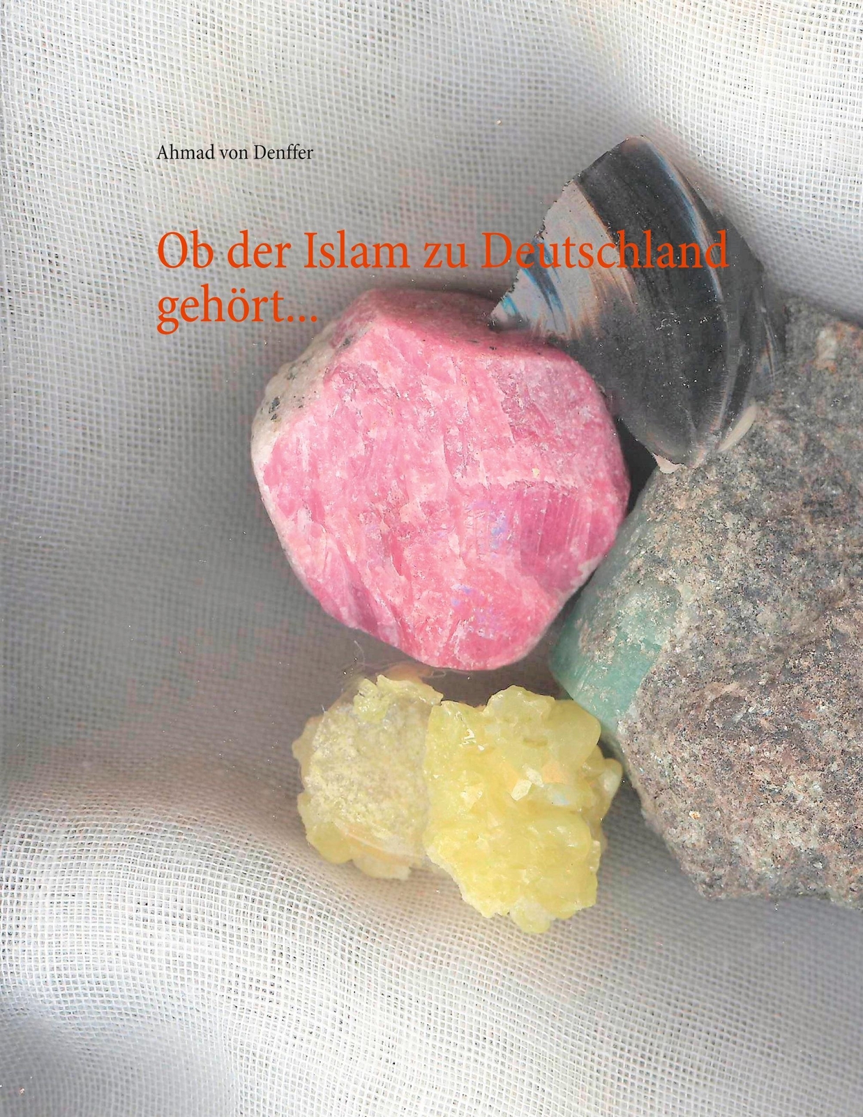 Thumbnail - Ob Der Islam Zu Deutschland Gehört... Ahmad Von Denffer Taschenbuch