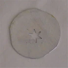 Mirro Cookie Press #2 Plate Parts Small Star Cheese Straws LAST ONE