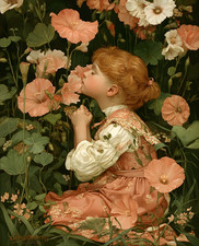 8x10 Cozy Storybook Little Girl in Field of Flowers Art Print - 447592425