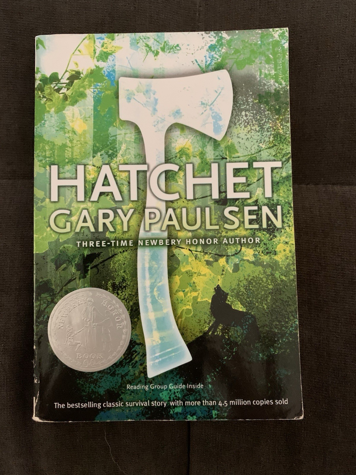 Hatchet by Gary Paulsen (2006, Trade Paperback)