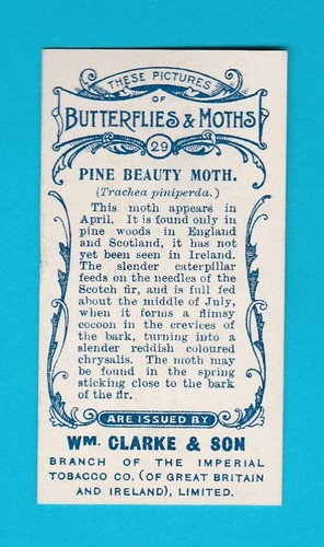 MARIPOSAS Y POLILLAS - TARJETA NO. 29 - Mundial. CLARKE & SON - 1912 - Imagen 2 de 2