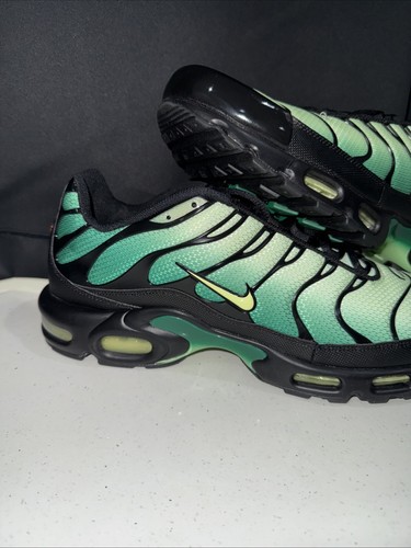 NIKE Air Max Plus DM0032-301 Vapor Green Malachite Black Light RARE Sz 15 - Picture 2 of 7
