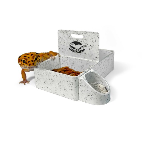 Geckopia Triple Dish 3 in 1 Reptile Dish Leopard Gecko Bowl eBay