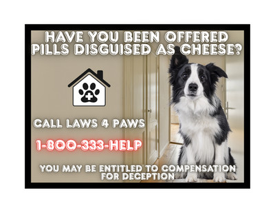 Funny Dog Border Collie Laws 4 Paws Refrigerator Magnet