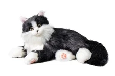 Chongker Compañero interactivo robot gato mascotas animales de Gato negro