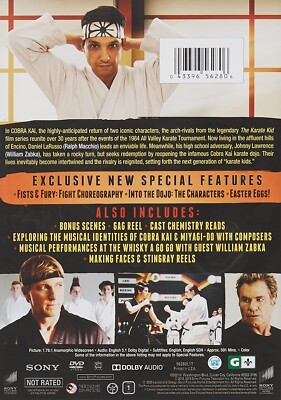 Cobra Kai: Seasons 1 & 2 - DVD, Brand New | eBay