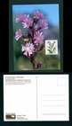 1983 Germany 120pf Sow Thistle FDC Endangered Alpine Flowers Maximum Postcard