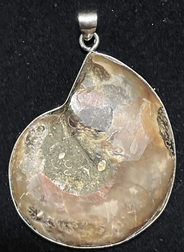 NWT 23.5x30mm AMMONITE pendant in Bali sterling silver
