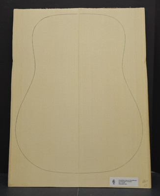 CARPATHIAN SPRUCE Soundboard Luthier Tonewood Guitar Wood Supplies CSAGAAD-004
