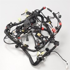 Genuine DUCATI SS950S Main Harness (2021 Super Sport)