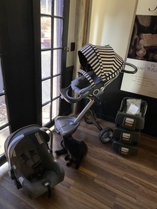 stokke nuna stroller