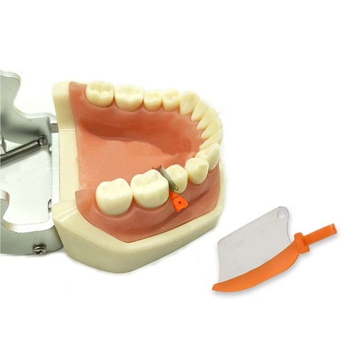 Dental Matrix Fender Wedges Prep Interproximal Diastema Wedge Guard L/M/S 50/Box - Afbeelding 7 van 13
