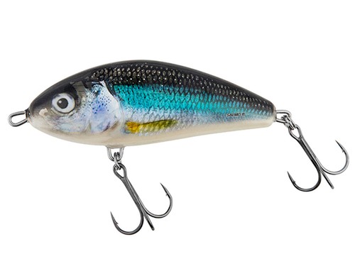 Salmo Fatso 10cm 52g Coulant Leurre Brochet Sandre NEUF COULEURS - Photo 13/16