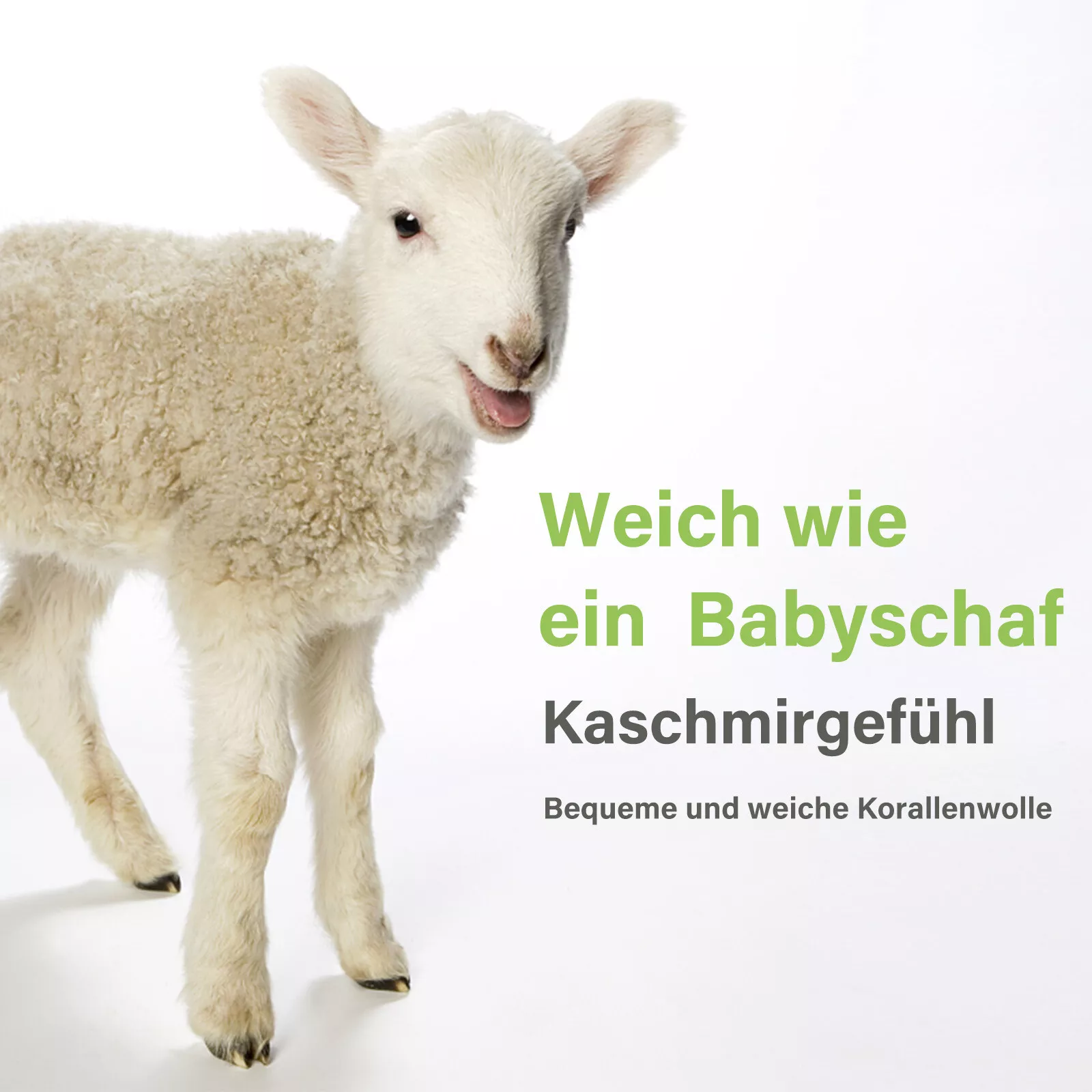 Bild 18 von 32