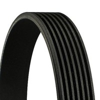 Continental Ctam | Keilrippenriemen (7PK1629) FüR BMW Poly-V-Riemen | Riemen