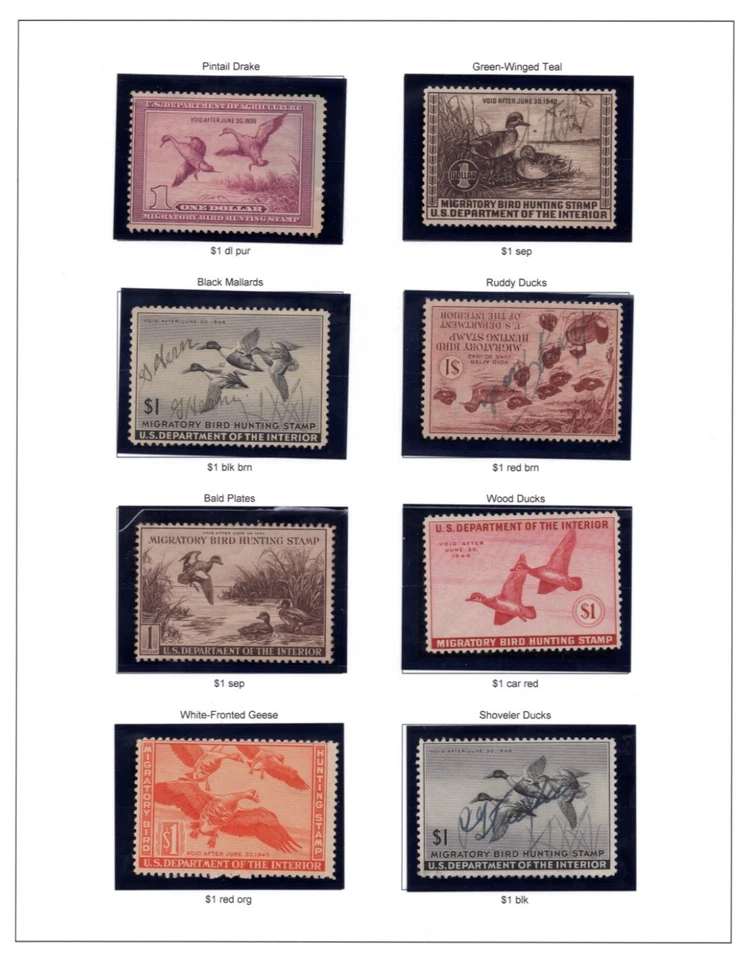 US 1935-1978 COLLECTION OF 43 DUCK HUNTING STAMPS, MOSTLY USED, SOME UNSIGNED - Image 2 of 4