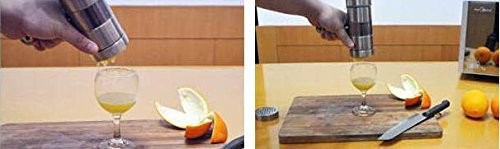 Stainless Steel Manual Noodles Press Machine Pasta Maker with 5 Noodle Mould