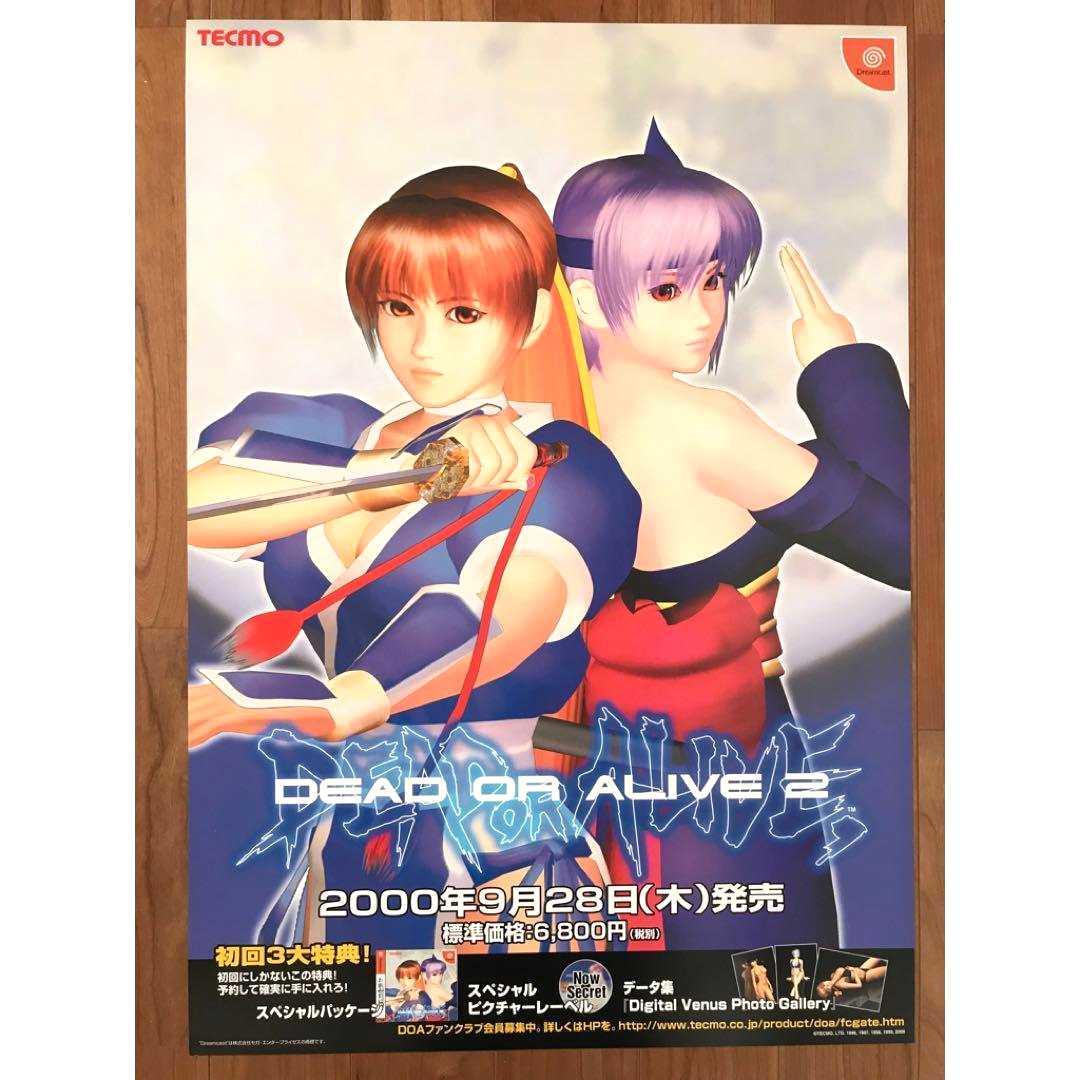 Dead or Alive 2 Game Promotional Poster Tecmo Dreamcast Kasumi
