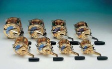 EVEROL SERIE SPECIAL 2,5/0 - 20 Lbs