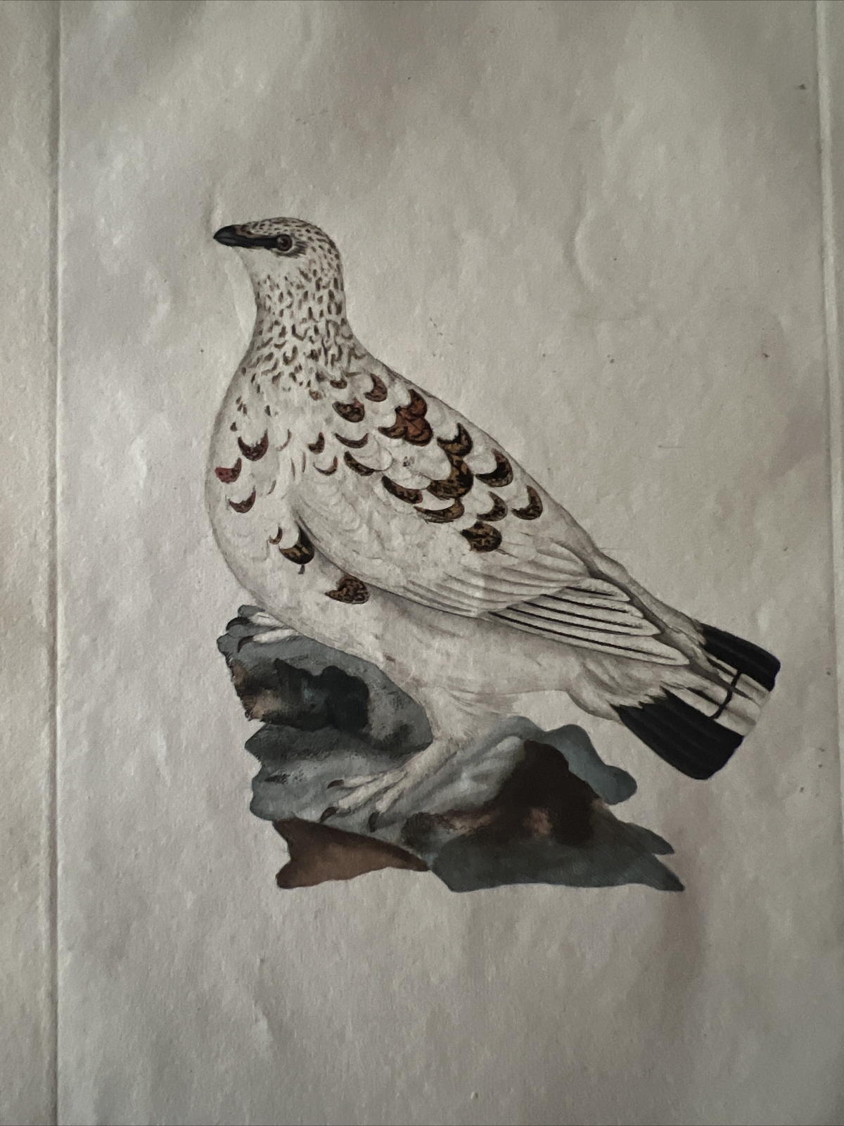 Picture 1 of 5