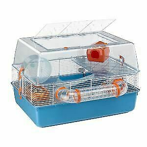 ADA Lab DOOA CELL Clear Glass Planter / Small Terrarium - Aqua