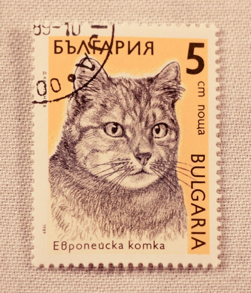 1989 Bulgaria Domestic Cats definitive six stamps cancelled various denomination - Image 3 of 4