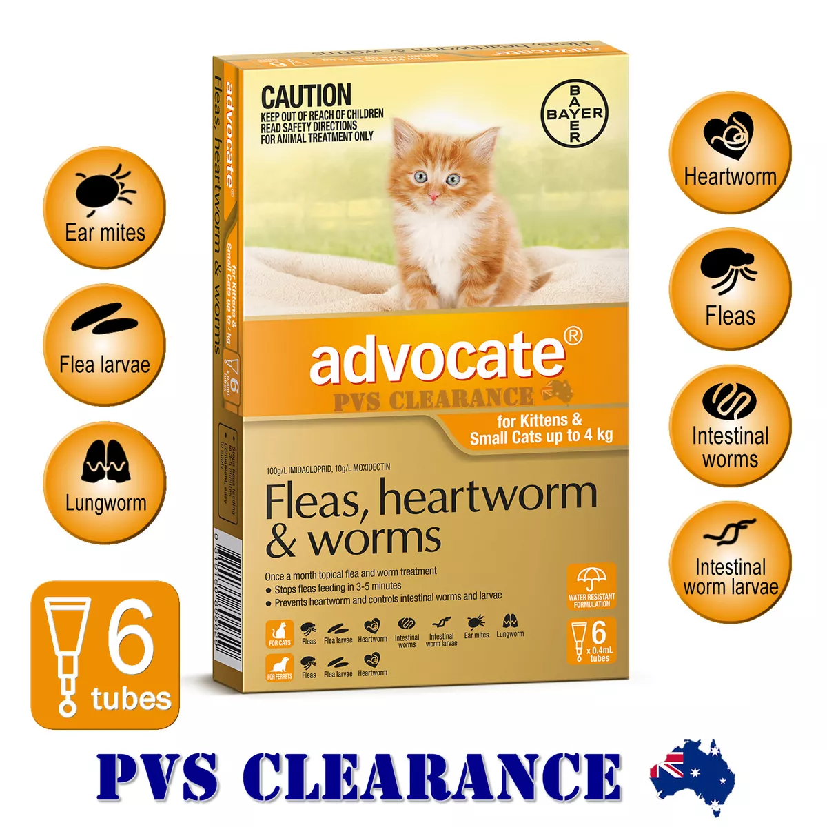 Advocate small cheap cat orange