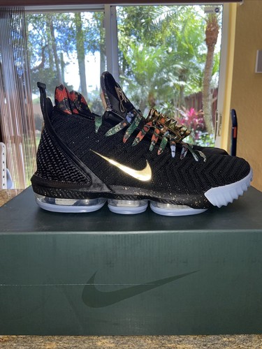 lebron 16 size 10.5