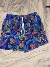 Chubbies Classic 5.5" Swim Trunks Jurassic Park Size L Men Mesh Lined