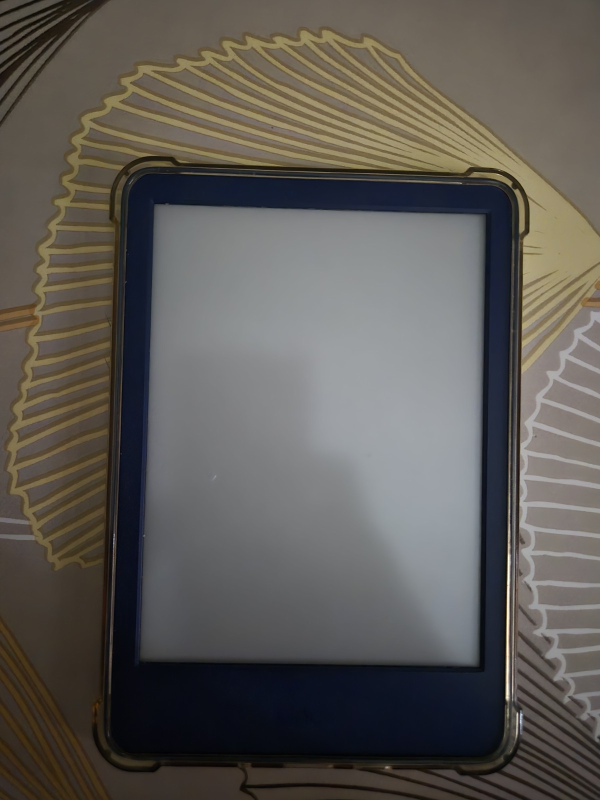 Amazon kindle usato 11a generazione