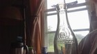 VINTAGE "FIRST NATIONAL ( SOMERVILLE MASS) 7 0z" BOTTLE~CLEAR~CROWN TOP~8 1/4" — photo 5